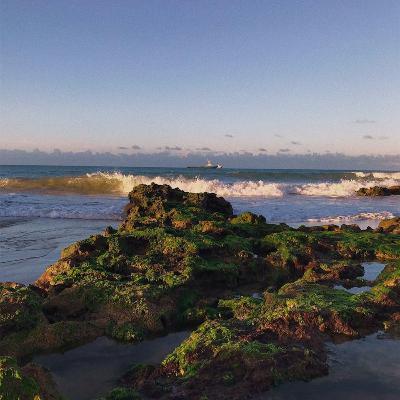 Experimento: Sons e Vozes na Cena-Audiovisual - Sentimento Maresia Experimento: Sons e Vozes na Cena-Audiovisual - Sentimento Maresia