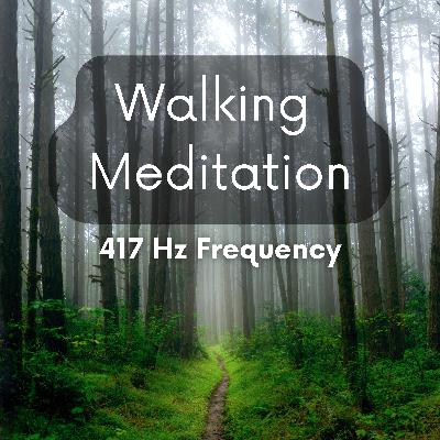Guided Walking Meditation | Create Your New Reality | Alpha State Meditation | 417 Hz Solfeggio