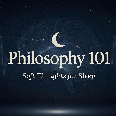 Philosophy 101: Gently Explained for Sleep Philosophy 101: Gently Explained for Sleep
