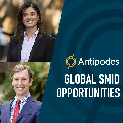 Opportunities in global small and mid-cap companies