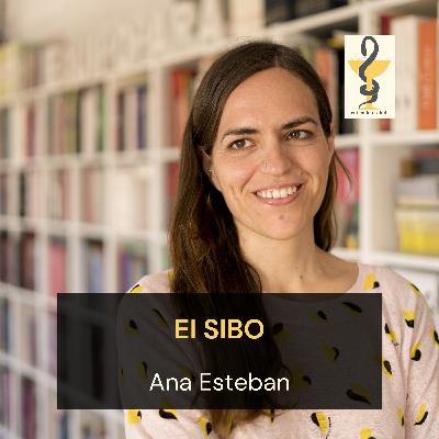 157. El SIBO, cuando las bacterias intestinales son tu principal problema