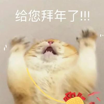 164.过年开局被催婚，如何顺利通关？！｜春节特辑