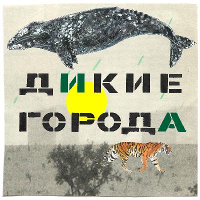 Владивосток