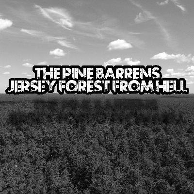 Pine Barrens: Jersey Forest From Hell