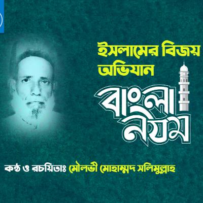 ইসলামি গান | ইসলামের বিজয় অভিযান | Molvi Mohammad Salimullah