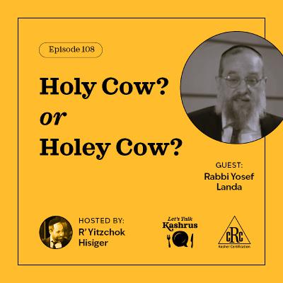 Holy Cow? or Holey Cow?