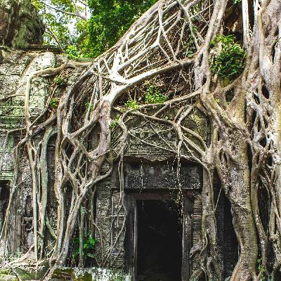 Building the roots of a world that will work - with Victoria Hurth, co-author of Beyond Profit