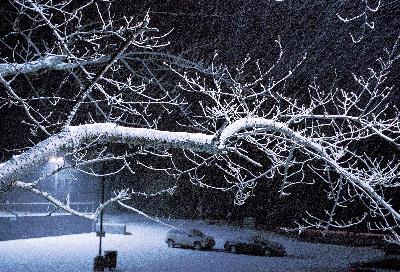 From Tire Trouble to Noir Nights: A Winter Film Adventure