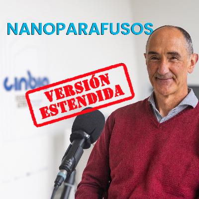 Luis Liz Marzán, a revoución dos nanoparafusos [Versión estendida]