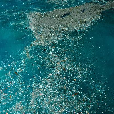 Océans 5/5 : L'Océan, la grande bataille