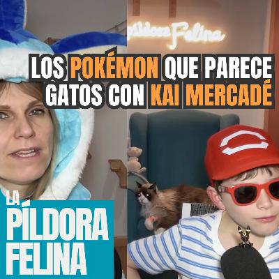 612. Los POKÉMON que parece gatos con KAI MERCADÉ