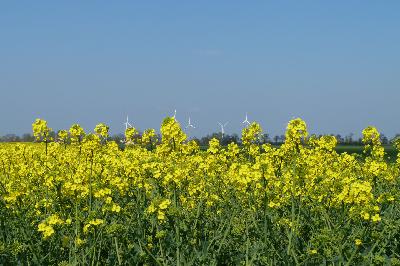 Licht ist Medizin Licht ist Medizin
