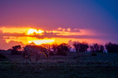 Parks Or Conservancies? Which Is Best?