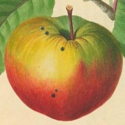 Eps. 6 : Adzan Shubuh