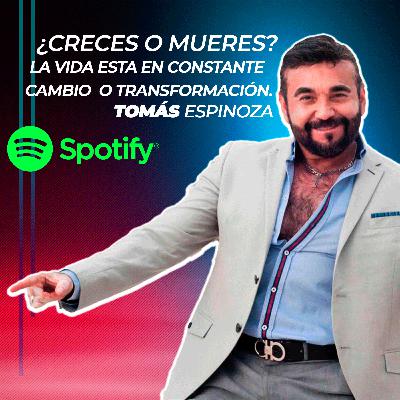 ¿Creces o mueres?
