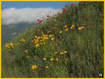 "Ar C'hleuz" gant Per-Vari Mevel, lennet deomp gant Frank Bodenes
