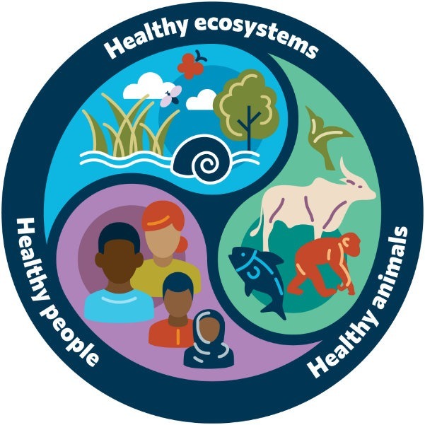 57- سلامت یکپارچه؛ چتری برای انسان، حیوان و محیط زیست 57- سلامت یکپارچه؛ چتری برای انسان، حیوان و محیط زیست