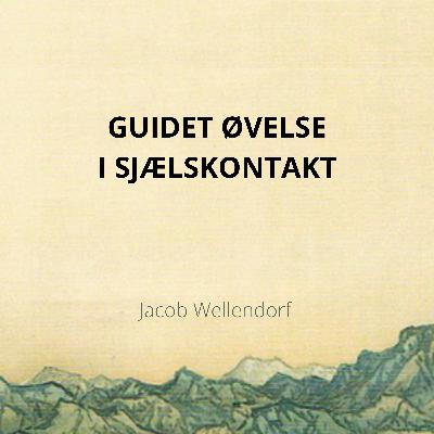 PREVIEW - 14. GUIDET ØVELSE I SJÆLSKONTAKT