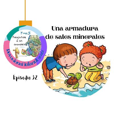 Episodio 32: Una armadura de sales minerales.