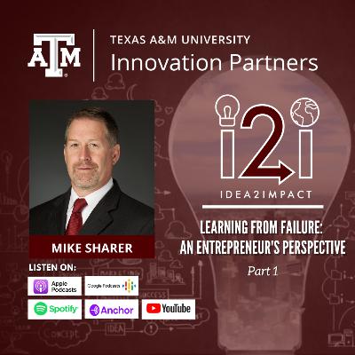 Learning from Failure: An Entrepreneur's Perspective