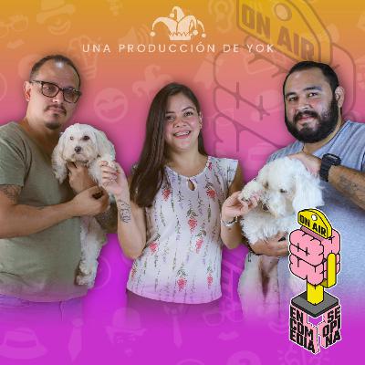 Hijos vs perrijos Hijos vs perrijos