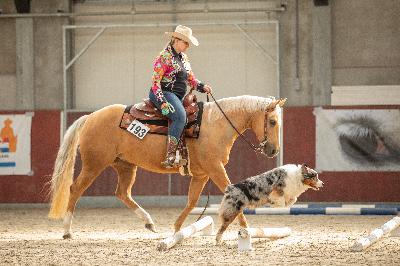 Saddle up with your Aussie- Horse & Dog Trail Competitions
