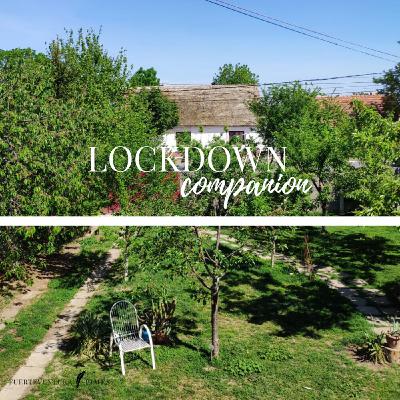 04 - Lockdown Companion in Romania