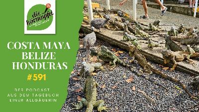 591 Von Costa Maya nach Belize und Honduras