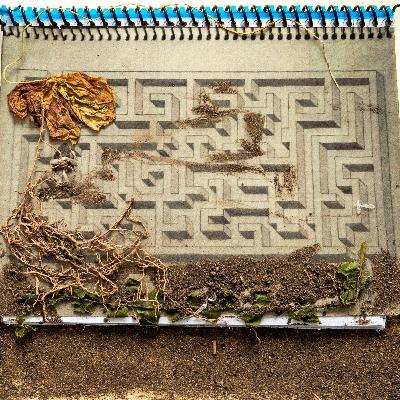 DOCE - El cuento de Ana 3