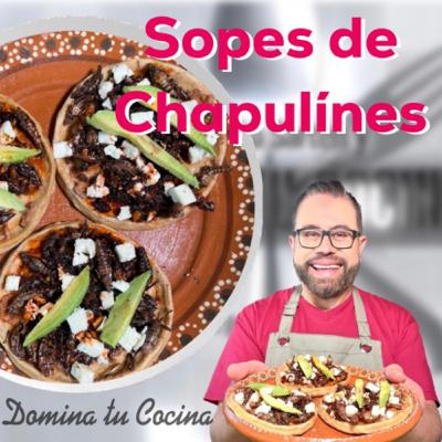 51 SOPES DE CHAPULINES