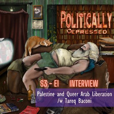 Palestine and Queer Arab Liberation /w Tareq Baconi