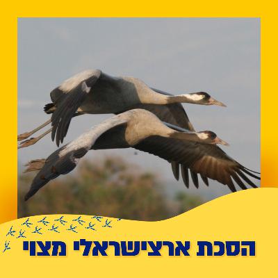 עגורים