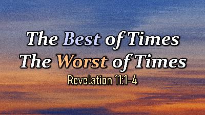 The Best of Times The Worst of Times - Audio