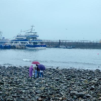 去看海