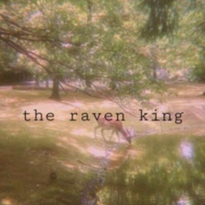 the raven king (chapters 16-20) the raven king (chapters 16-20)