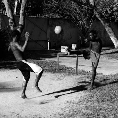 Mr Bongo Brazilian Favourites