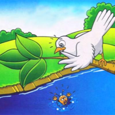 कबूतर और मधुमक्खी कबूतर और मधुमक्खी