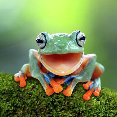 Smiling will get you everywhere