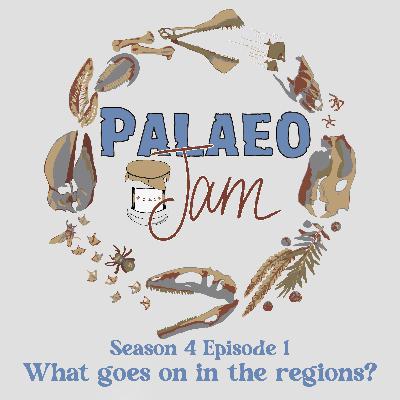 What goes on in the regions?