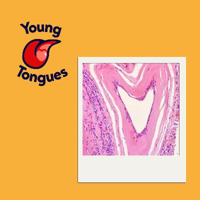 Expert Guest: Krishna Suchak