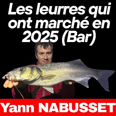 Les leurres pour le bar qui ont marché en 2025 Les leurres pour le bar qui ont marché en 2025