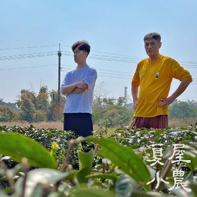 S1E3 喝一杯野放茶,野放寶貝的土地和樹木 #寶樹自然生態茶園 謝賢鴻 S1E3 喝一杯野放茶,野放寶貝的土地和樹木 #寶樹自然生態茶園 謝賢鴻