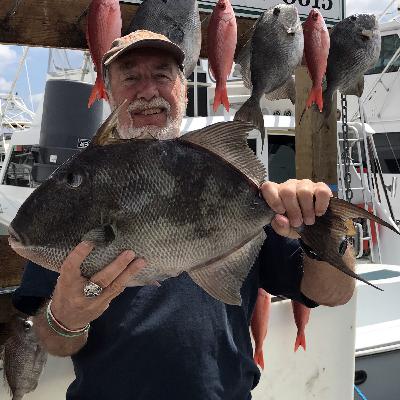 LISTEN: Fishing Report (03.04.20) Triggerfish biting good, cobia around the corner