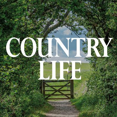 Amanda Owen: The Yorkshire Shepherdess on farming, life, and having tea with her sheep