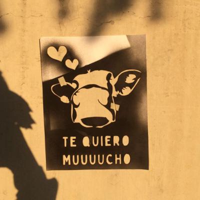 Valores de sentido último