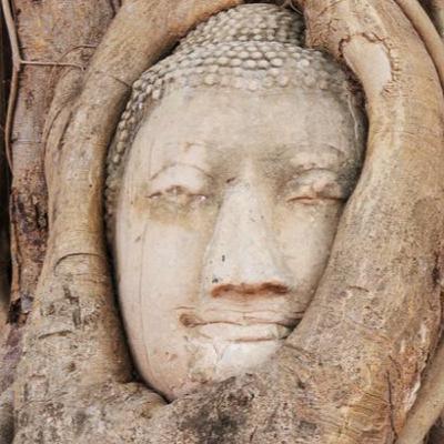 Footnotes on "Sex and Sexuality in Buddhism: A Tetralemma"