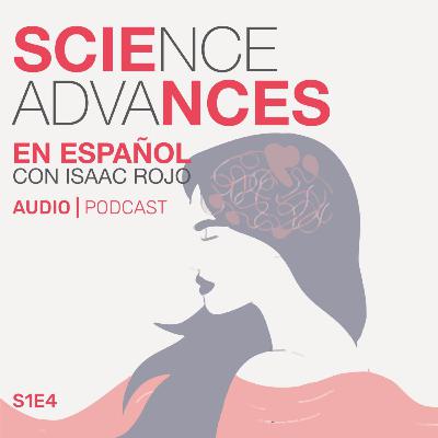 📚 Cómo la menopausia cambia nuestros cerebros y que estamos haciendo para combatirlo