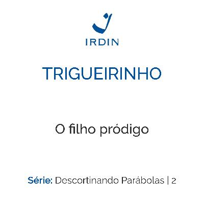 O filho pródigo