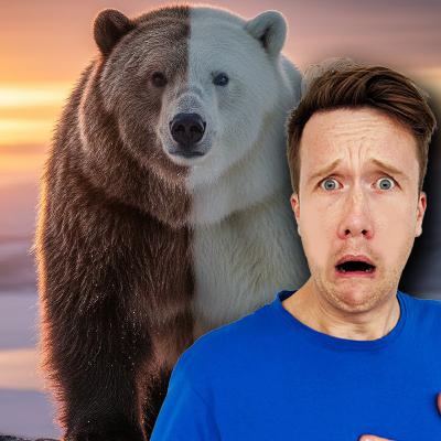 MEET THE GROLAR BEAR: Half Grizzly, Half Polar! 🐻❄️🐻 MEET THE GROLAR BEAR: Half Grizzly, Half Polar! 🐻❄️🐻