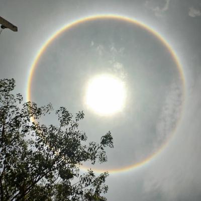Revelação #1 Canalização direta de Joshua